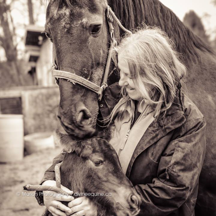 Kay Veinotte Horse Farm